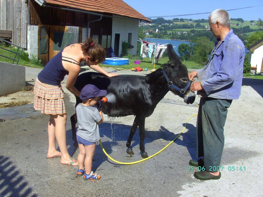 Nussbaumer Am Irrsee Tiefgraben Esterno foto