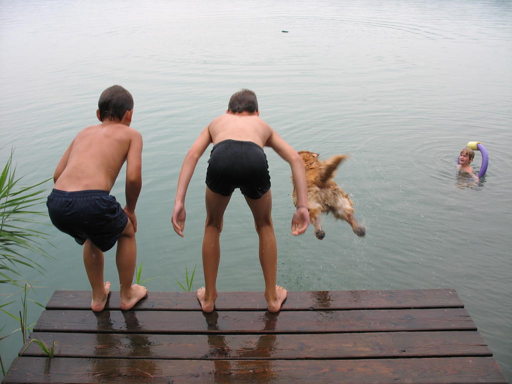 Nussbaumer Am Irrsee Tiefgraben Esterno foto