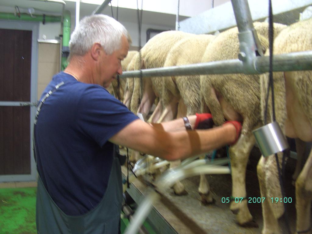 Nussbaumer Am Irrsee Tiefgraben Esterno foto